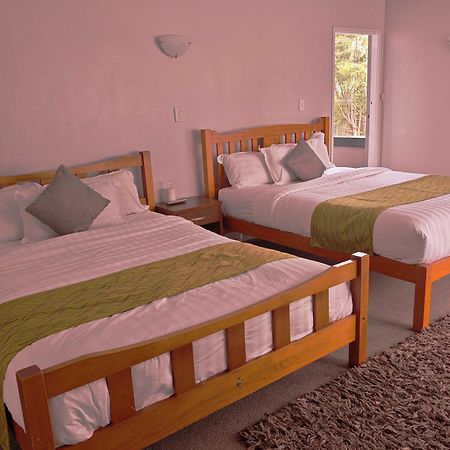 Newlands Court Motel Wellington Ngoại thất bức ảnh