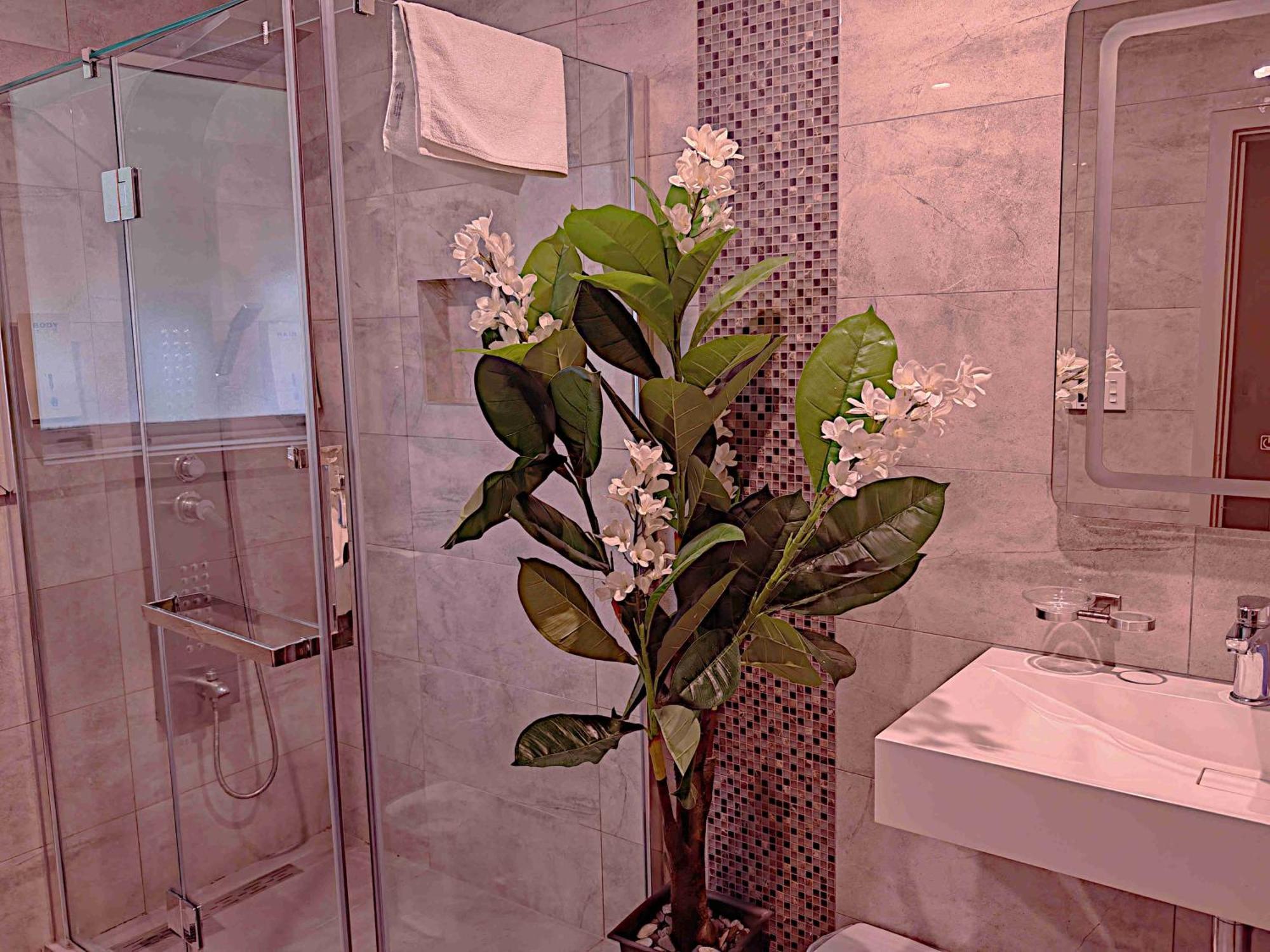 Newlands Court Motel Wellington Ngoại thất bức ảnh